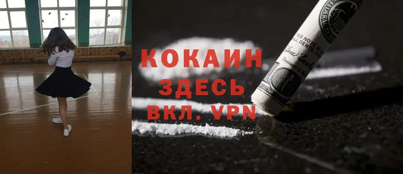 как найти закладки  Емва  blacksprut как зайти  Cocaine Fish Scale 